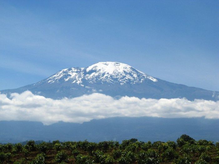 Meru-Kilimanjaro Big Game Safari