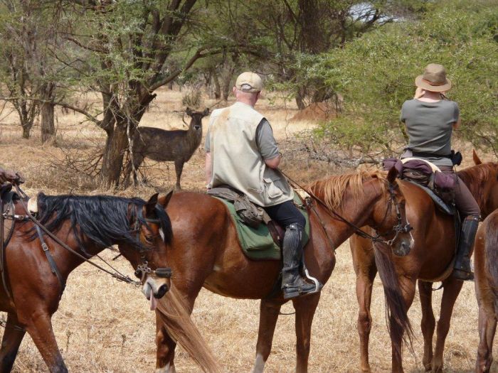 Meru-Kilimanjaro Big Game Safari