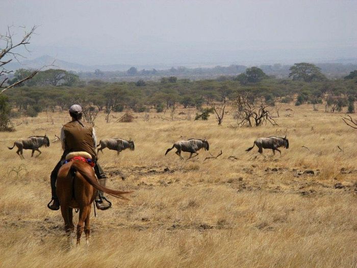 Meru-Kilimanjaro Big Game Safari