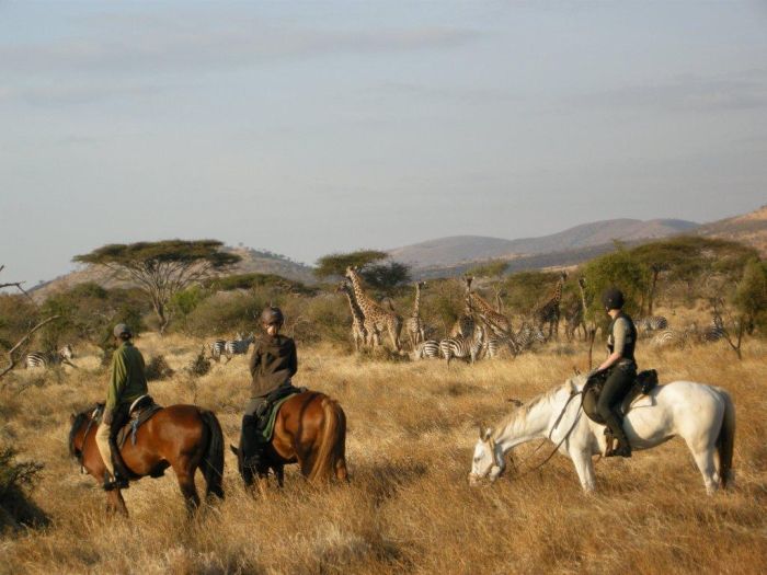 Meru-Kilimanjaro Big Game Safari