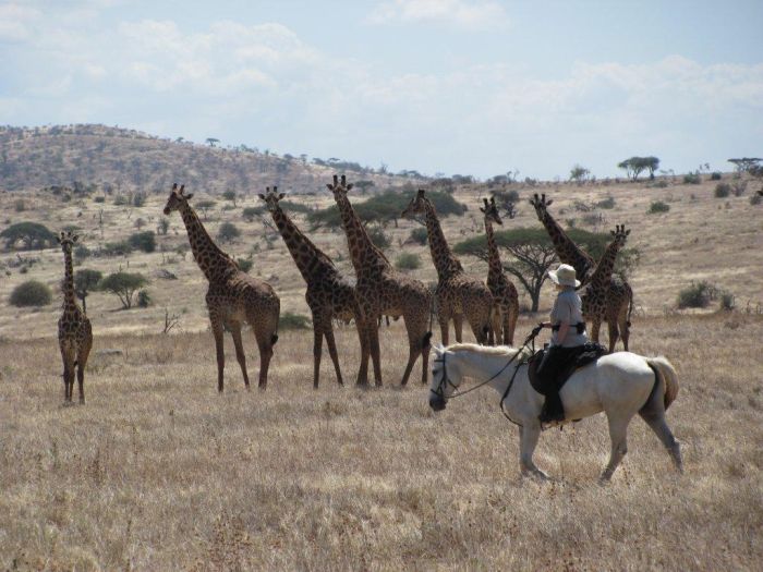 Meru-Kilimanjaro Big Game Safari