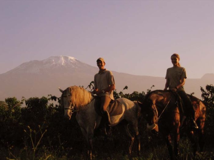 Büffelherde auf Migration Reitsafari in Tansania am Kilmanjaro