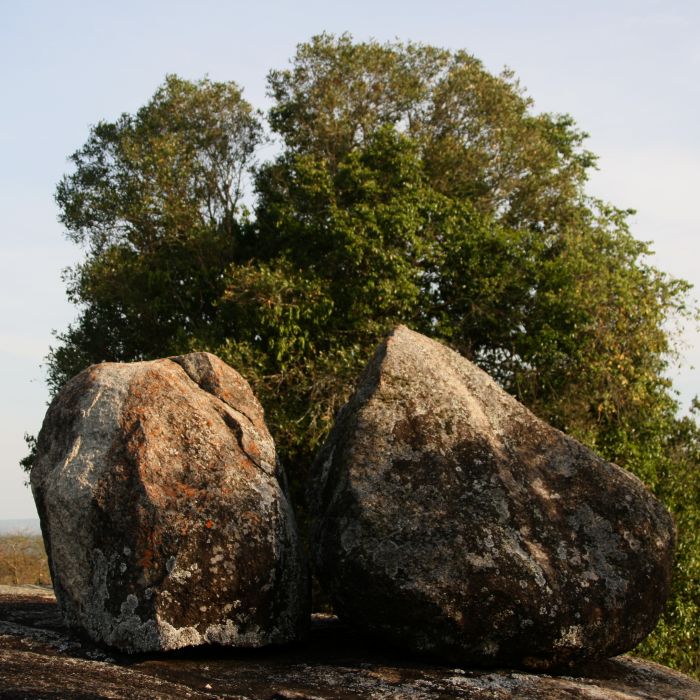 Comfort lodge near Lake Mburo National Park