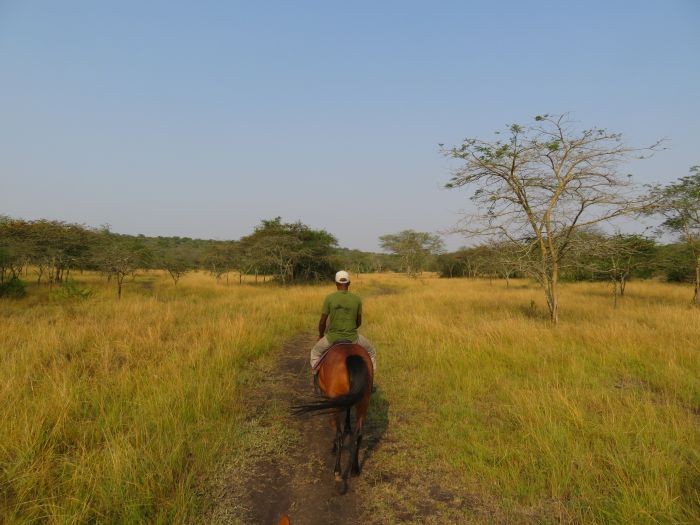 Comfort lodge near Lake Mburo National Park