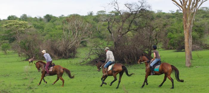Comfort lodge near Lake Mburo National Park