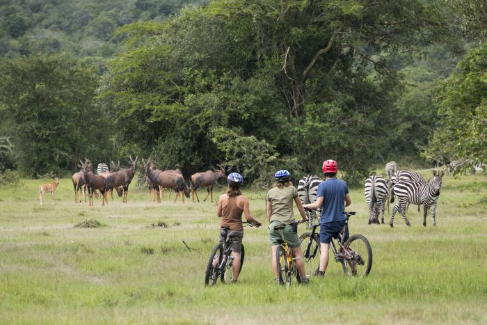 Comfort lodge near Lake Mburo National Park