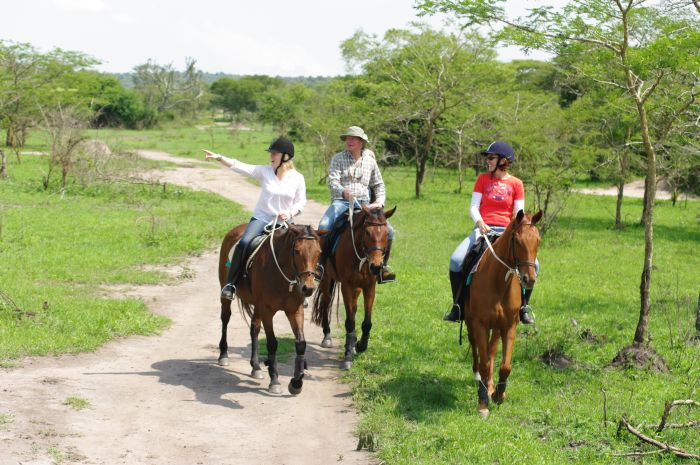Comfort lodge near Lake Mburo National Park