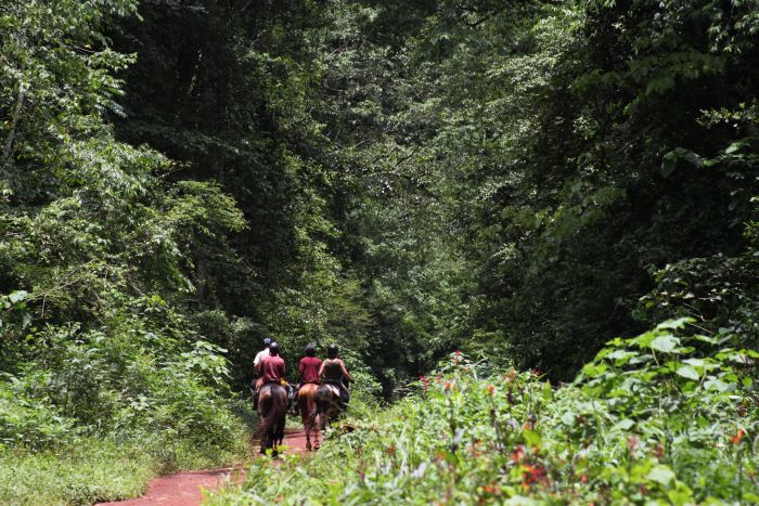 Riding and Sport Expereience Uganda