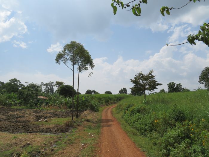 Riding and Sport Expereience Uganda