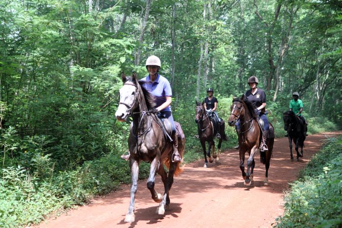 Riding and Sport Expereience Uganda