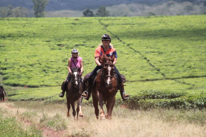 Riding and Sport Expereience Uganda