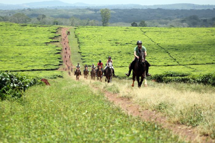 Riding and Sport Expereience Uganda