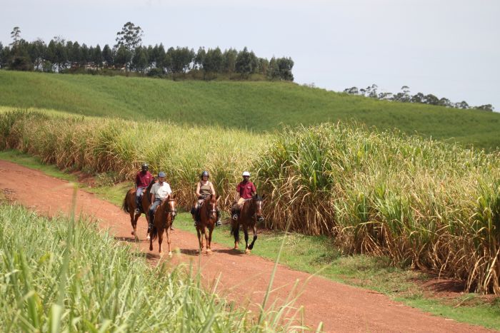 Riding and Sport Expereience Uganda