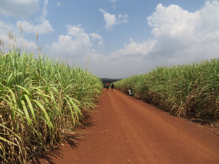 Riding and Sport Expereience Uganda