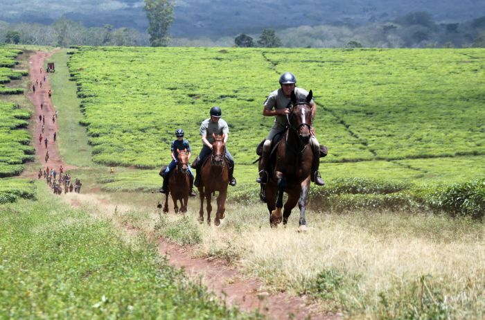 Riding and Sport Expereience Uganda