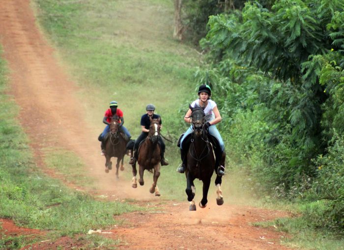Riding and Sport Expereience Uganda
