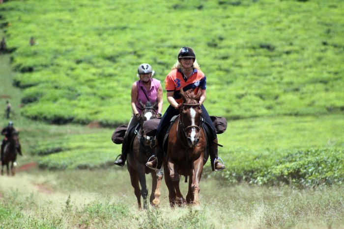Riding and Sport Expereience Uganda