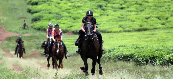 Riding and Sport Expereience Uganda