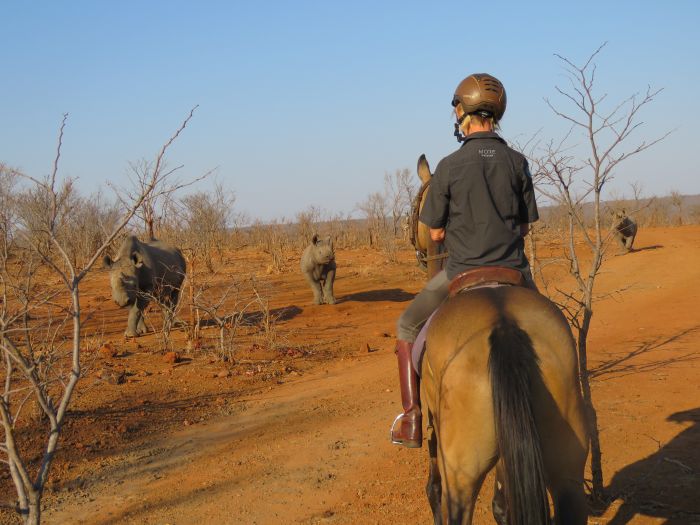 Zambezi Big Game Safari