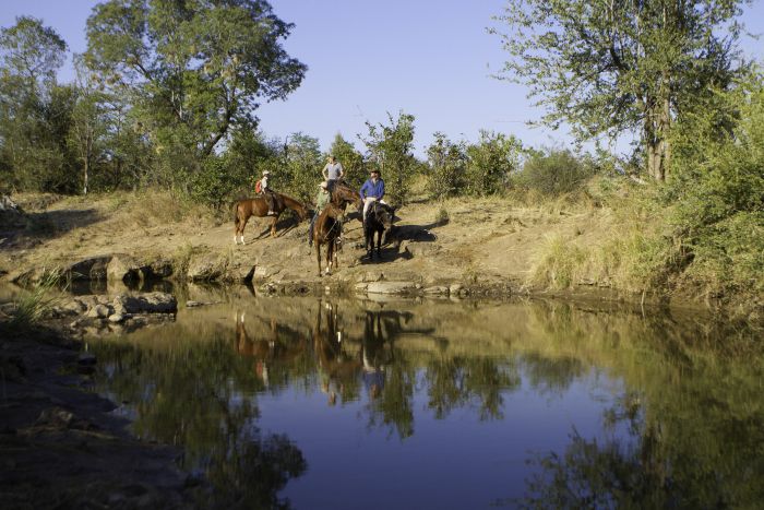 Zambezi Big Game Safari