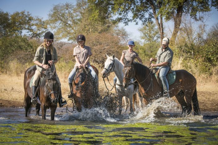 Zambezi Big Game Safari