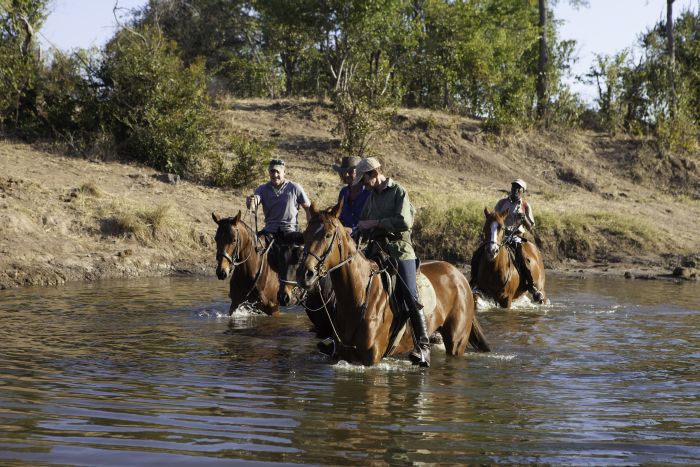 Zambezi Big Game Safari
