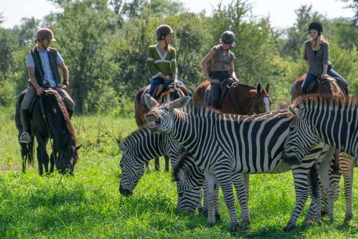 Zambezi Big Game Safari