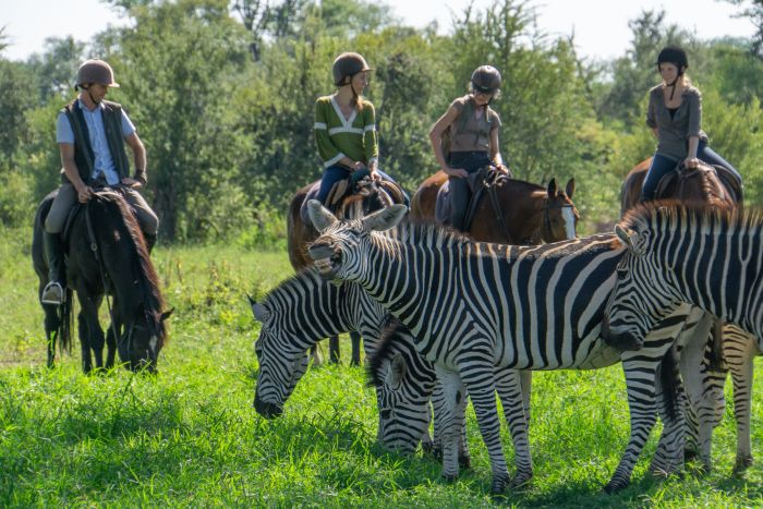 Sambesi Reit-, Kanu- und Grosswild-Safari