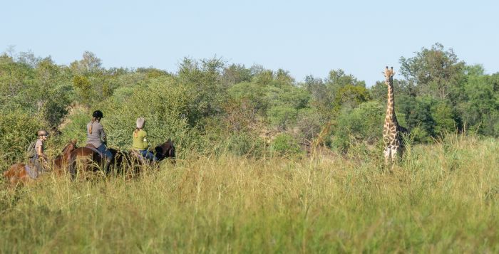 Sambesi Reit-, Kanu- und Grosswild-Safari