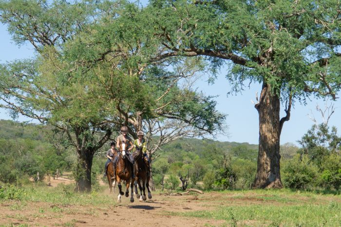 Sambesi Reit-, Kanu- und Grosswild-Safari