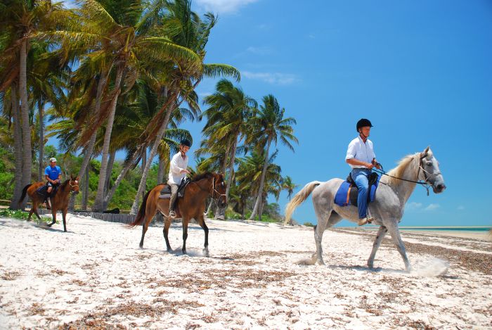 Beach Paradise Mozambique