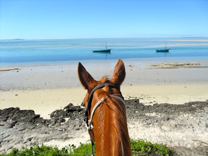 Beach Paradise Mozambique