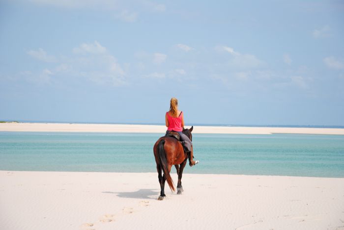 Beach Paradise Mozambique
