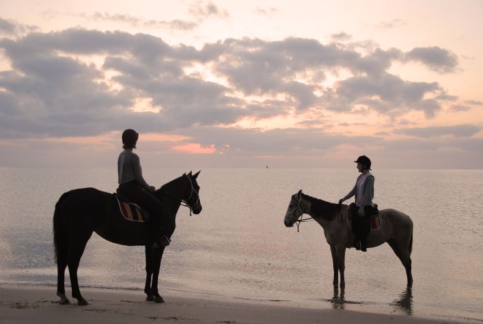 Beach Paradise Mozambique