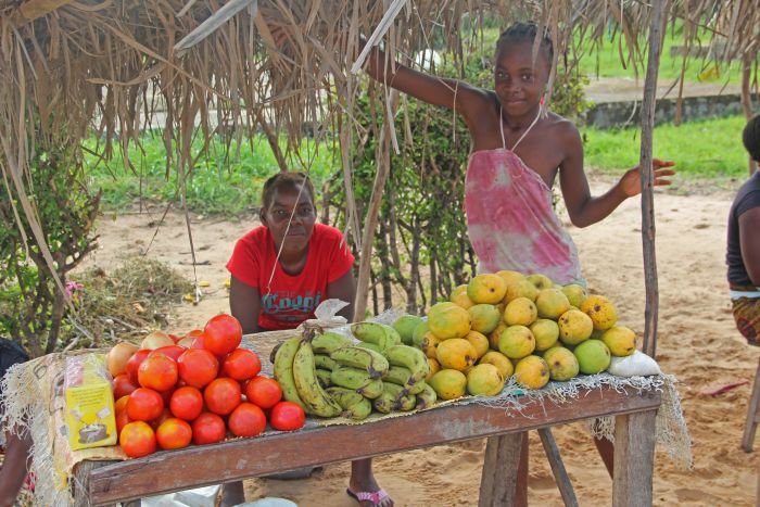 Beach Paradise Mozambique