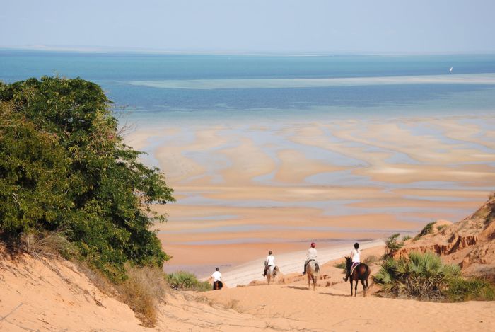 Beach Paradise Mozambique