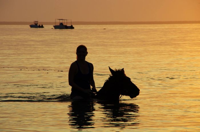 Beach Paradise Mozambique