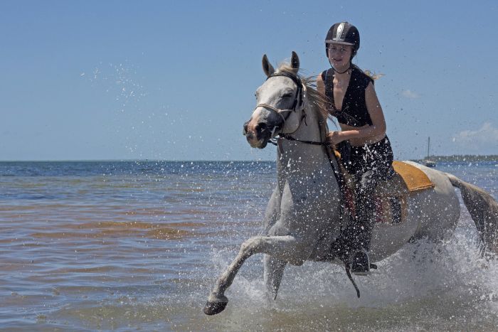 Beach Paradise Mozambique