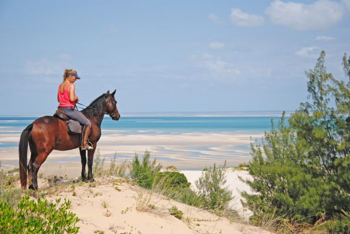 Beach Paradise Mozambique