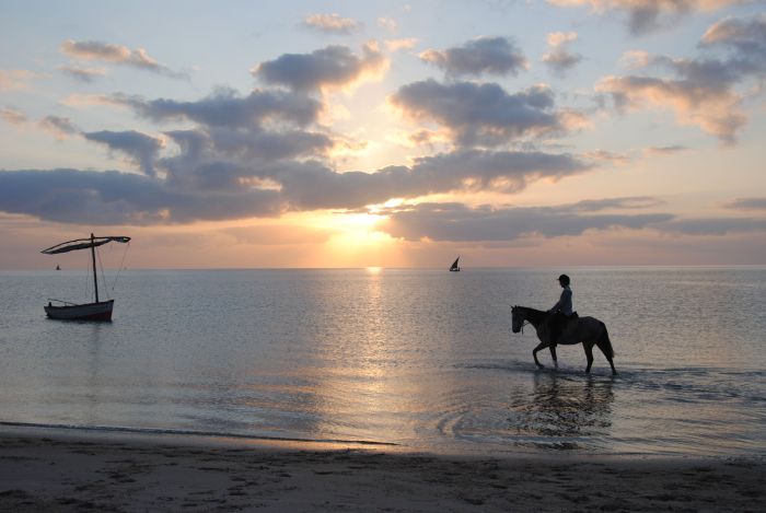 Beach Paradise Mozambique
