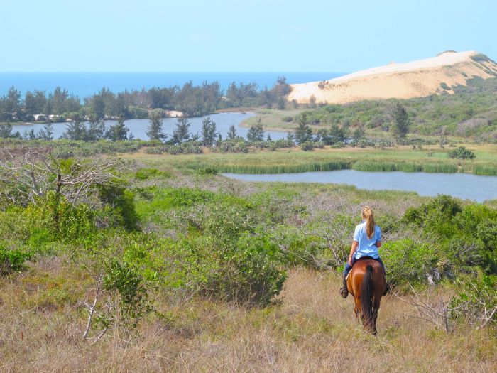 Beach Paradise Mozambique