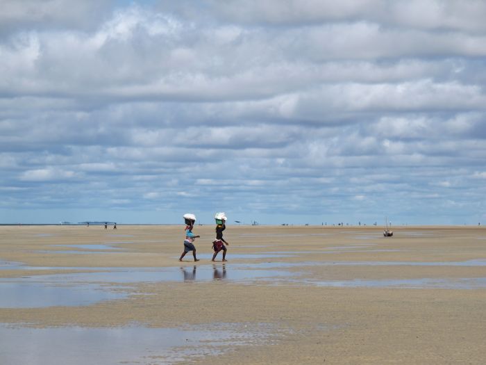 Beach Paradise Mozambique