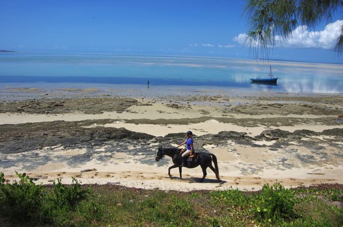 Beach Paradise Mozambique