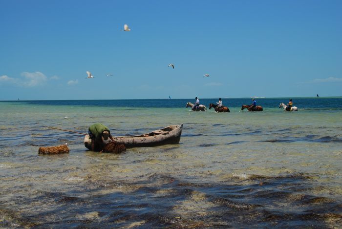 Beach Paradise Mozambique