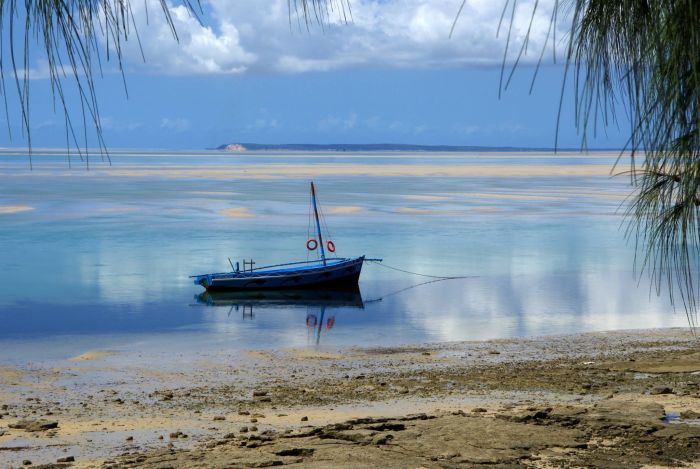 Beach Paradise Mozambique