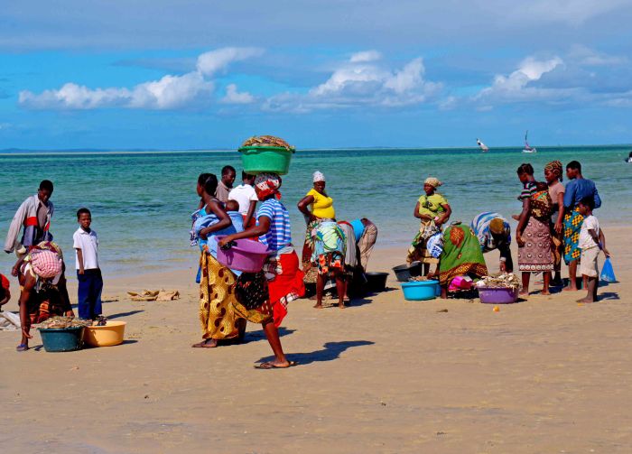 Beach Paradise Mozambique