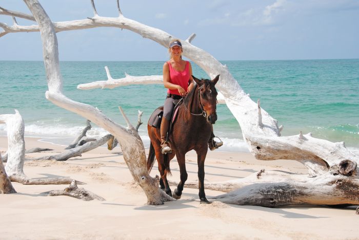 Beach Paradise Mozambique