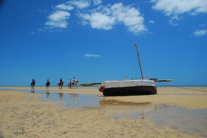 Beach Paradise Mozambique