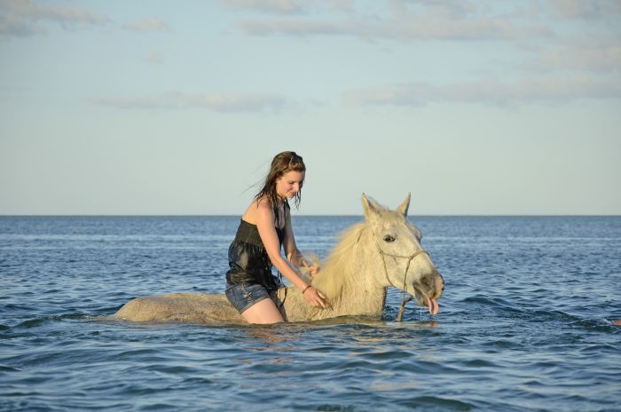 Beach Paradise Mozambique