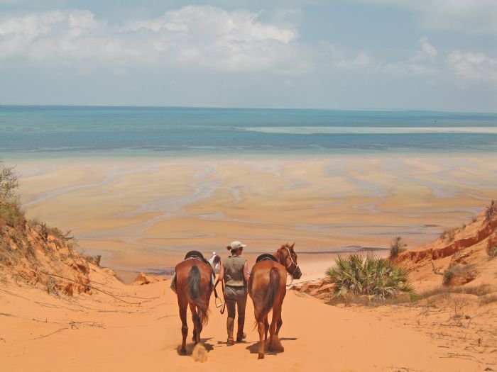 Beach Paradise Mozambique